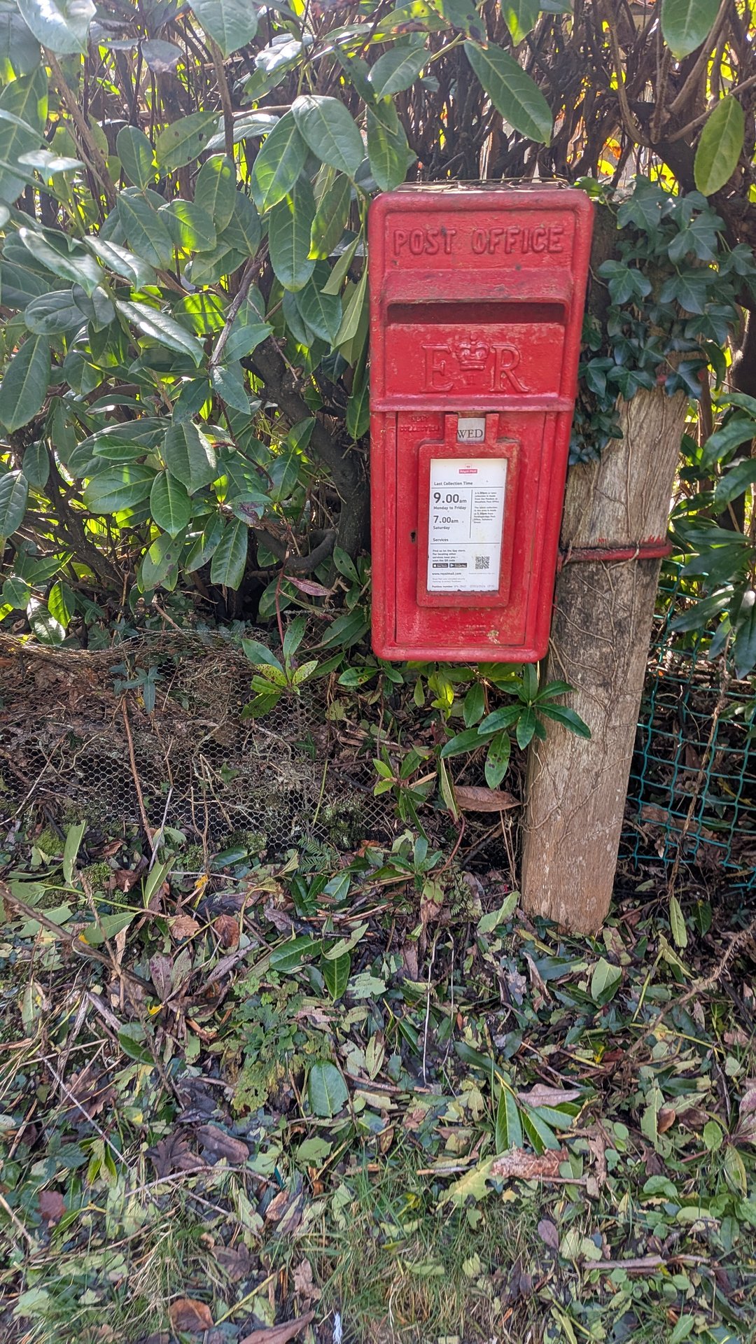 Forest Road, Hale, Queen Elizabeth II, Lamp Box