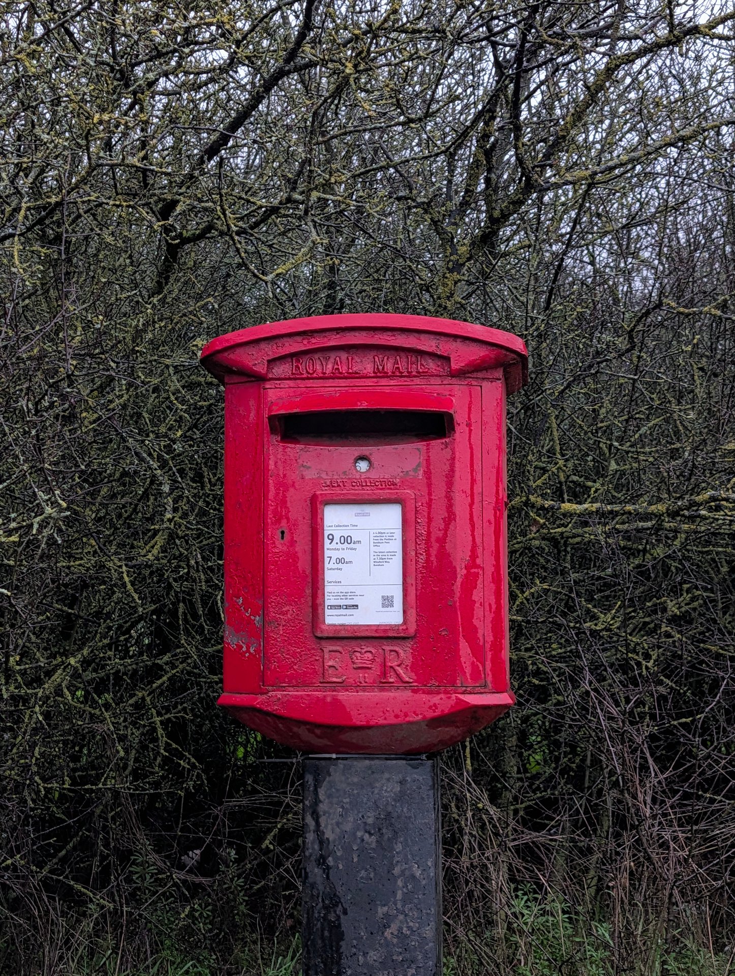 Waltham Road, Boreham, Queen Elizabeth II