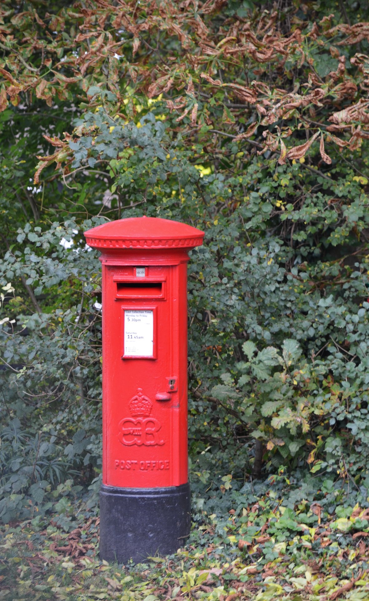 Littleworth Road, Esher, King Edward VIII