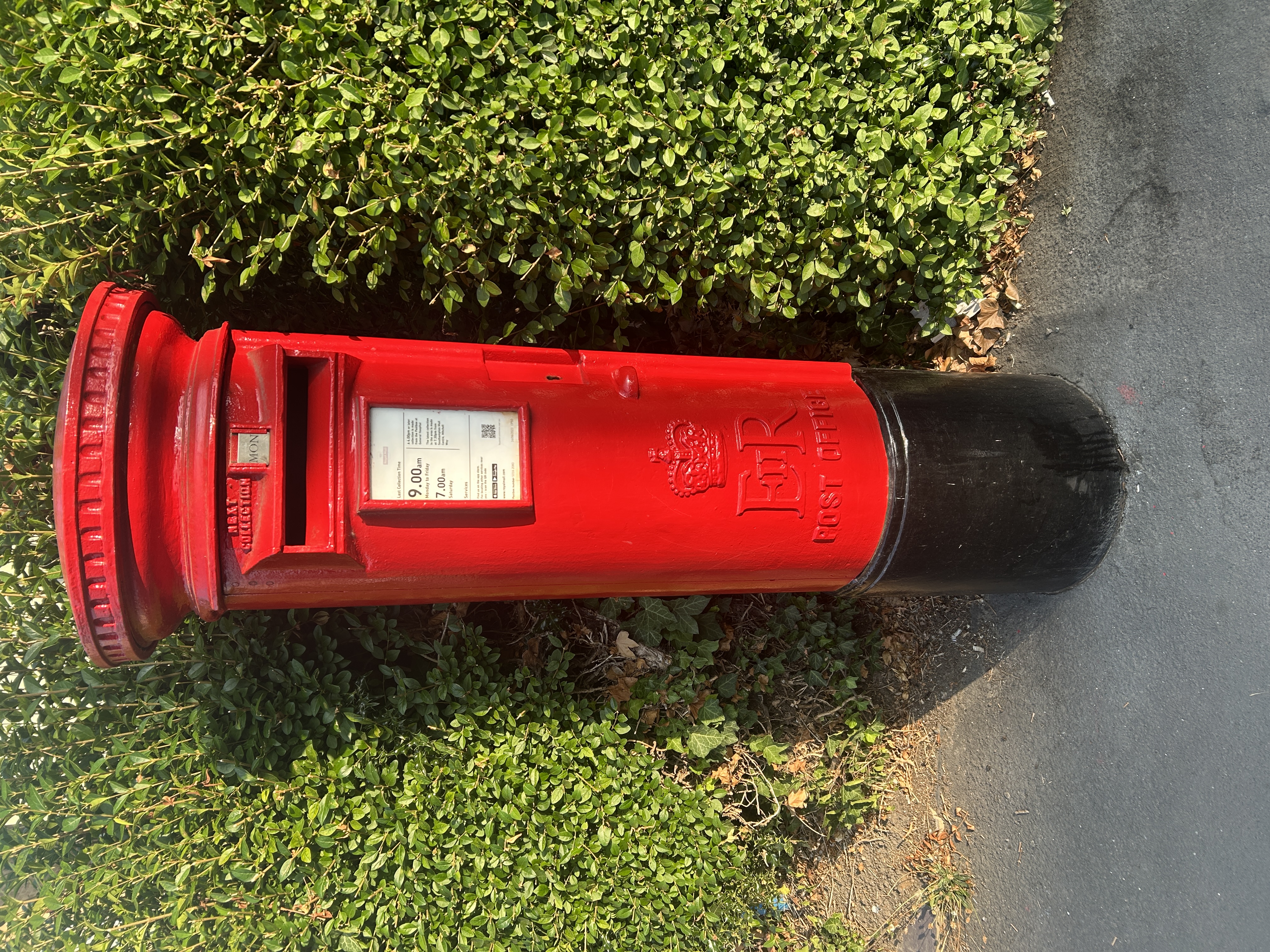Tremona Road, Southampton, Queen Elizabeth II