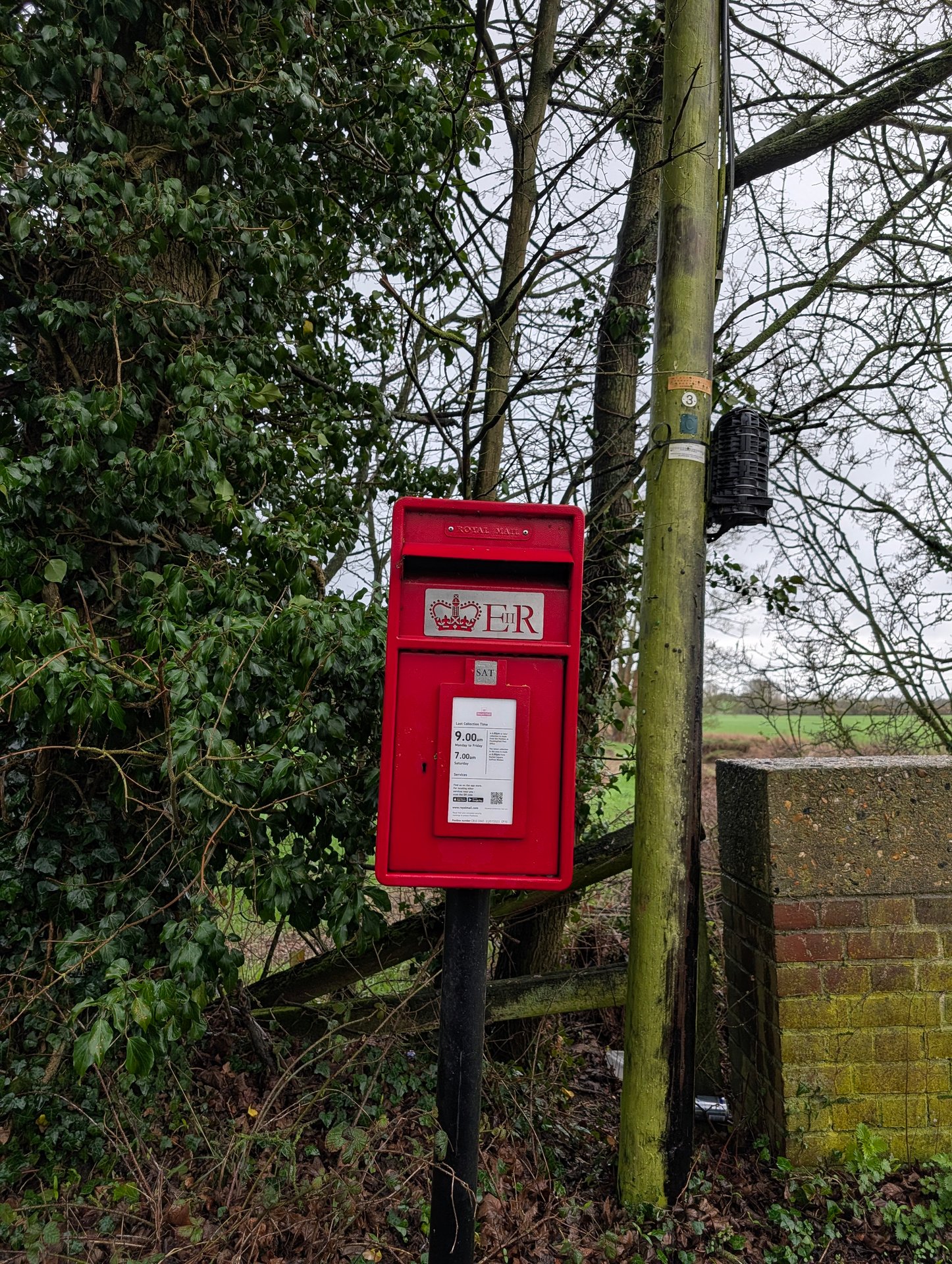 Hall Road, Uttlesford, Queen Elizabeth II